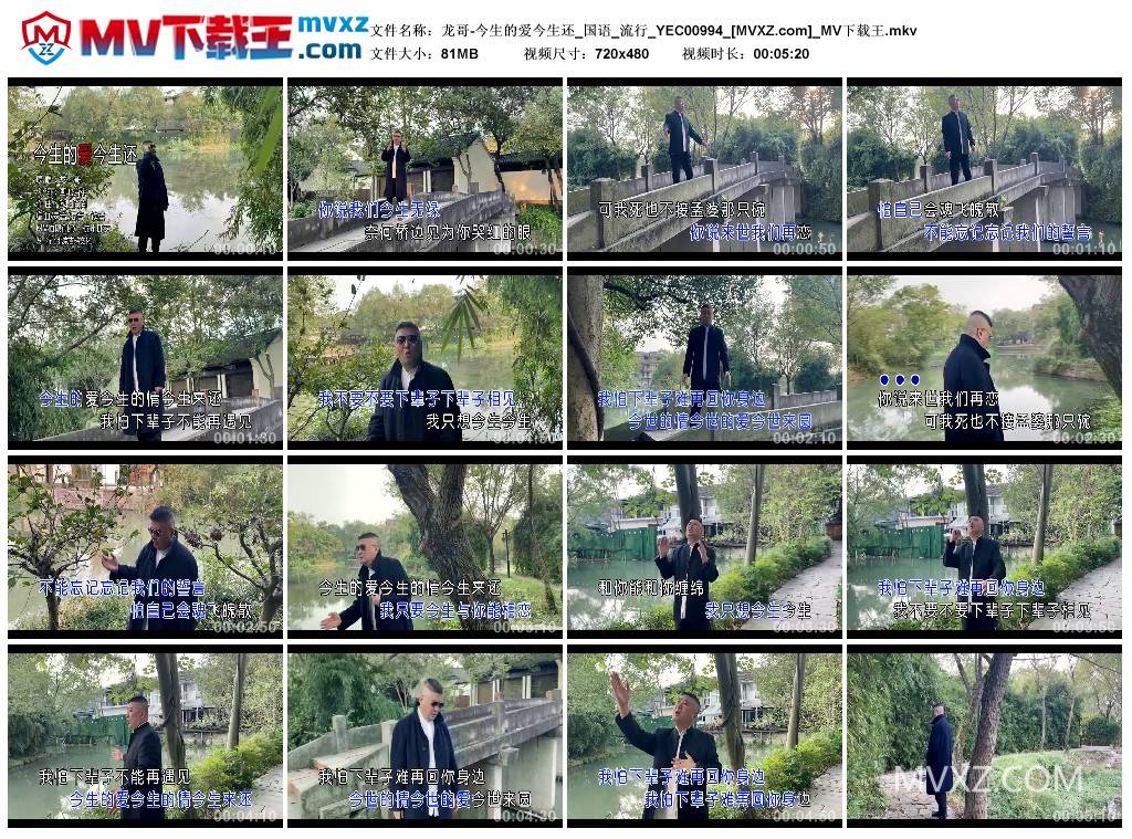 龙哥-今生的爱今生还_国语_流行_YEC00994